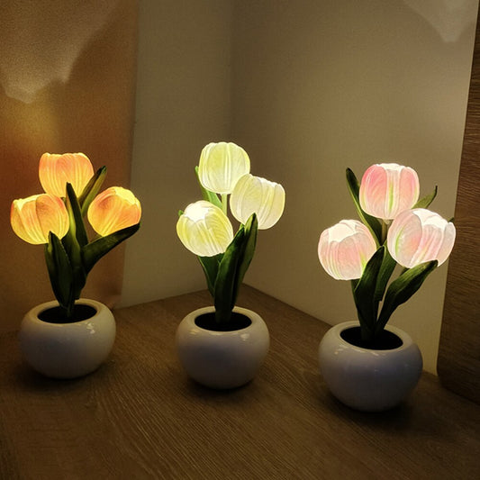 Tulip Colourful LED Pot Night Lamps