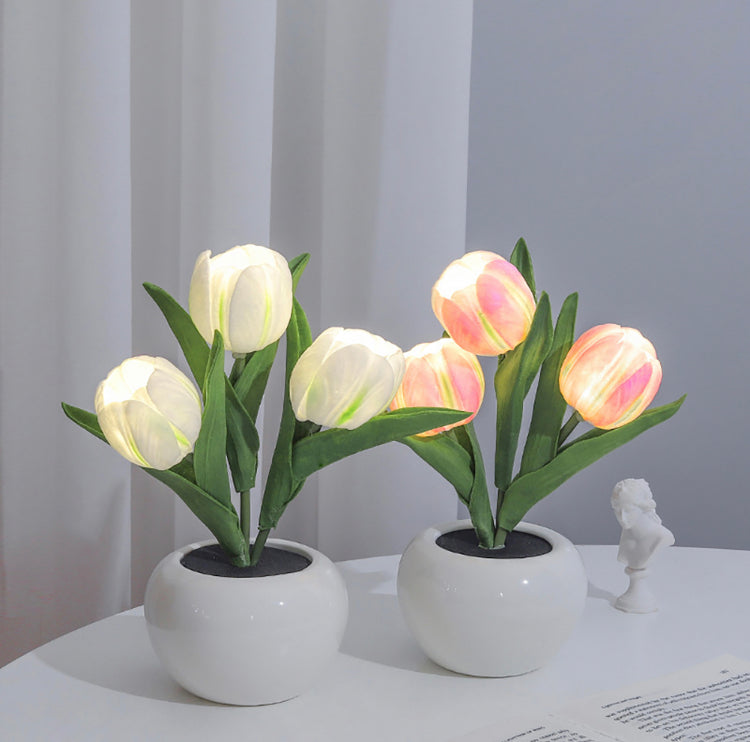 Tulip – Bouquet Blossoms